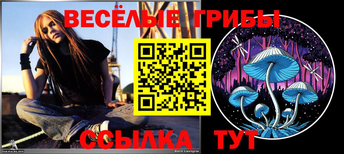 Елабуга  Галлюциногенные грибы Magic Shrooms  Вход с VPN  Галлюциногенные грибы Psilocybe 